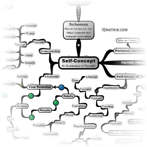 Self-Concept (mx) – MasterMind Matrix