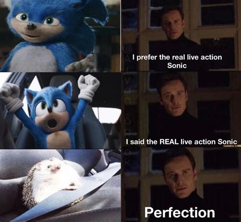 The sonic movie was actually pretty good. I’d recommend watching it : r ...