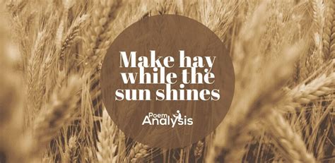 Make hay while the sun shines meaning - Poem Analysis