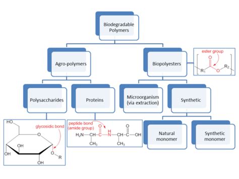 Difference Between Oligomer and Polymer | Compare the Difference Between Similar Terms