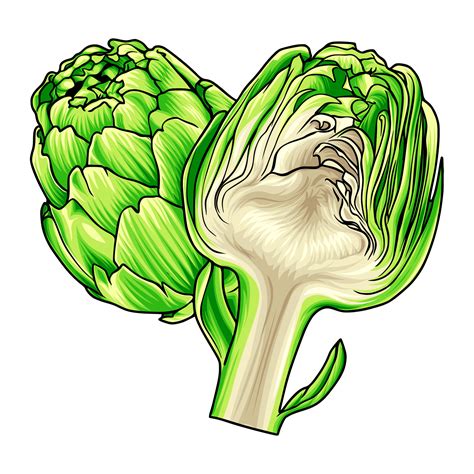 VEGETABLE VECTOR ILLUSTRATION 30729367 Vector Art at Vecteezy