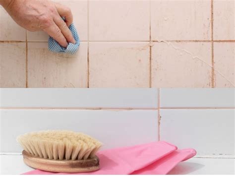 Pink Mold in Bathroom: Causes, Cleaning & Prevention