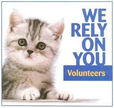 Volunteer Opportunities | Hutchinson Animal Shelter, KS