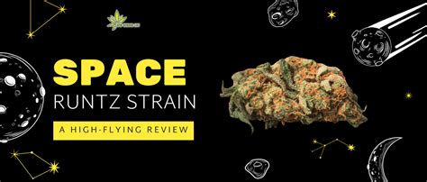 Space Runtz Strain: A High-Flying Review - 420 Vendor List