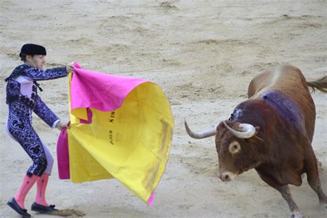 Matador Bullfight (20) | Pamplona | Pictures | Spain in Global-Geography