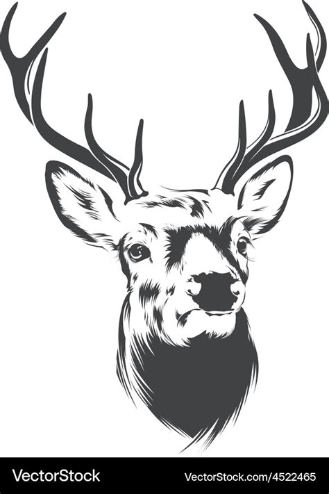 Deer head Royalty Free Vector Image - VectorStock