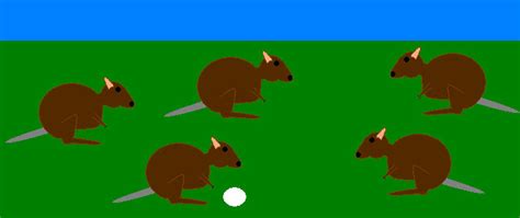 Quokka soccer by JolanthusTrel on DeviantArt