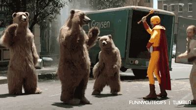 Bear GIF | Bear gif, Funny gif, Gif