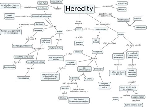 heredity