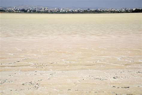 Larnaca - Salt Lake (2) | Limassol | Pictures | Cyprus in Global-Geography