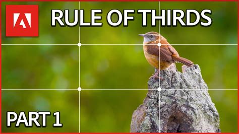 Understanding the Rule of Thirds | Adobe Design Principles Course - YouTube