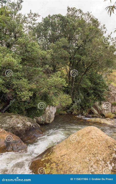 Sterkspruit Strong Stream Above the Sterkspruit Waterfall Near Stock Photo - Image of africa ...