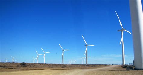 Wind turbines kill fewer birds than do cats, cell towers