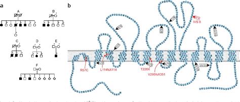 Hartnup Disease | Semantic Scholar