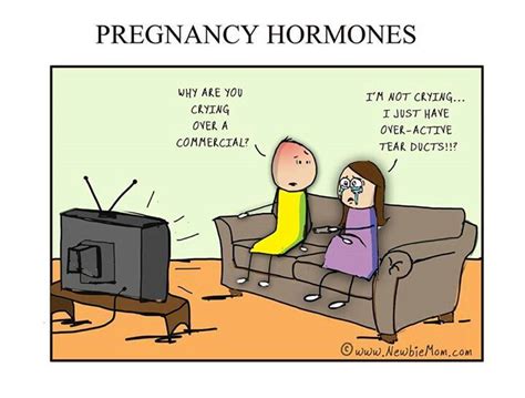 I cry when I watch the Publix Mothers Day commercial. | Pregnancy hormones humor, Pregnancy ...