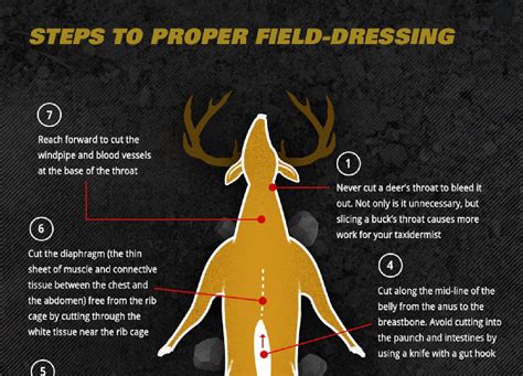 INFOGRAPHIC: The BEST Way to Field-Dress a Deer | OutdoorHub