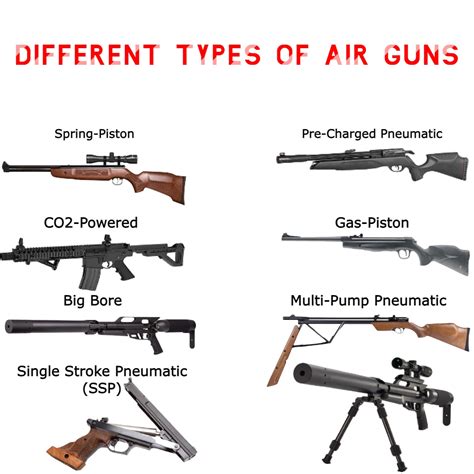 Types of Air Guns: A Comprehensive Guide