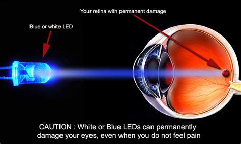 The Harmful Effects Of Blue Light — Optimum Vision and Eye care