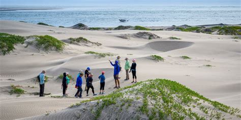 The History of Baja's Magdalena Bay | Sea Kayak Adventures