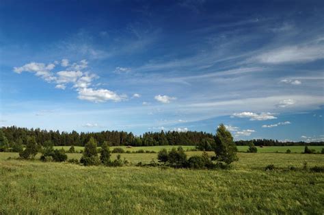 Belarusian nature