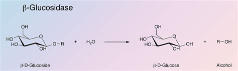 Glucosidase, Beta - Worthington Enzyme Manual | Worthington Biochemical