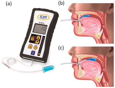 Biomedicines | Free Full-Text | Quantitative Measurement of Swallowing ...