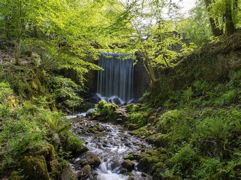 National Botanic Garden of Wales | VisitWales