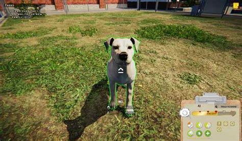 Animal Shelter Free Download PC Game Full Version Install Game PC