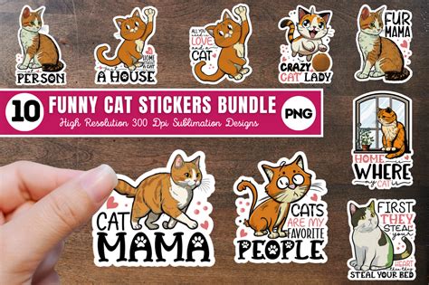 Funny Cat Stickers Bundle Graphic by Regulrcrative · Creative Fabrica