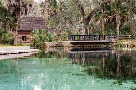 17 Fun Things To Do In Ocala Florida - Florida Trippers