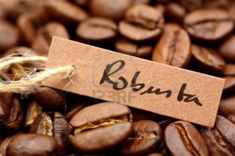 Vietnam High Quality Robusta Coffee Grade 1 Best Price | tradekorea