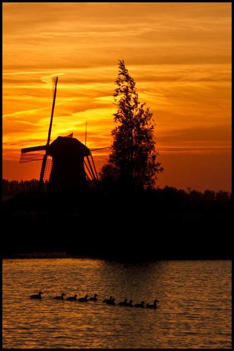 Mill at sunset, Kinderdijk, Netherlands | Holland windmills, Dutch windmills, Sunset