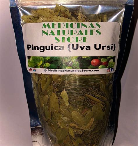 Pinguica (Uva Ursi) 🍃 leaf – Medicinas Naturales Store