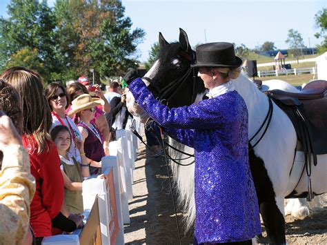 Gypsy-Horse-Show-2 | Gypsy Horse Show demonstration taking p… | Flickr