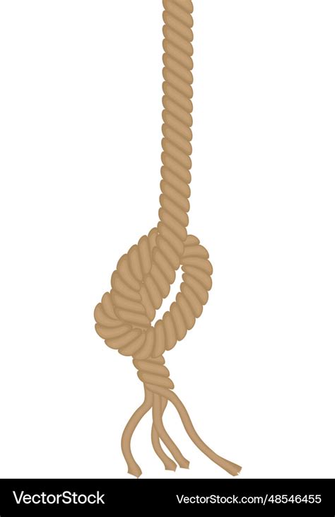 Broken rope with knot Royalty Free Vector Image