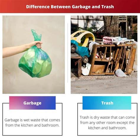 Garbage vs Trash: Difference and Comparison