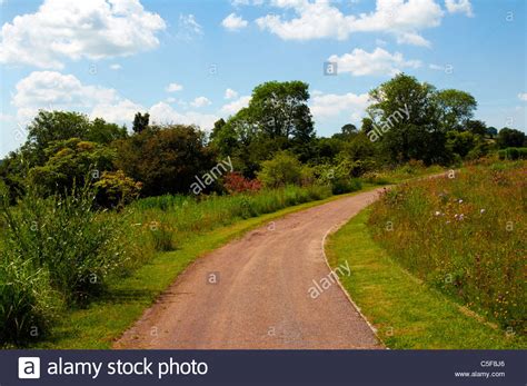 Wildflower Garden Sky High Resolution Stock Photography and Images - Alamy