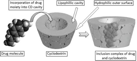 Cyclodextrins: An Overview of Fundamentals, Types, and Applications ...