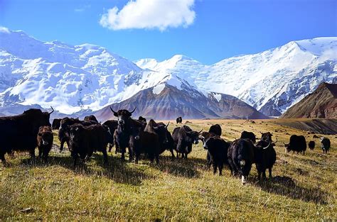 Tallest Mountains In Tajikistan - WorldAtlas