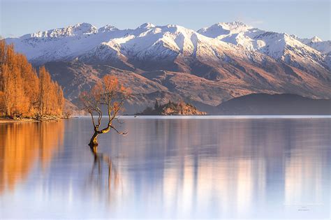 The Wanaka Tree Photography - Everything You Need to Know