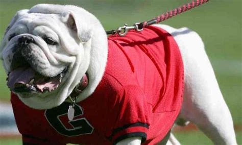 Best University of Georgia Football Players of All Time | Top UGA ...