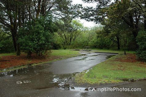 Grayland Beach State Park - Campsite Photos, Info & Reservations