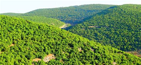 Ajloun set to attract major tourist projects | Jordan Times