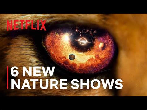 Netflix Expands Natural History Slate with Six New Documentary Series, Beginning November 22 ...