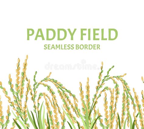 Paddy Field Stock Illustrations – 3,258 Paddy Field Stock Illustrations ...