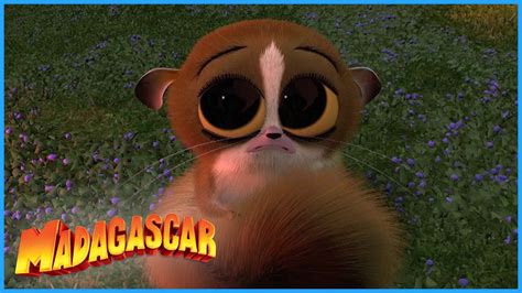 DreamWorks Madagascar | Best of Mort! | Madagascar | Kids Movies - YouTube