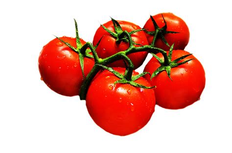 Fresh Tomatoes Free Stock Photo - Public Domain Pictures