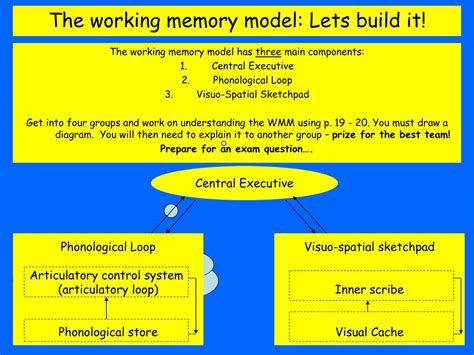 PPT - The Working Memory Model PowerPoint Presentation, free download - ID:6779663