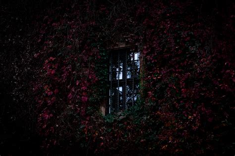 Photo Title: "The Secret Window" :: Behance