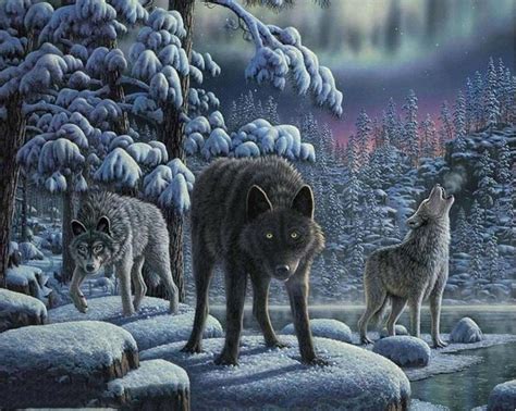 Hunting Wolves Paint By Numbers - Numeral Paint Kit